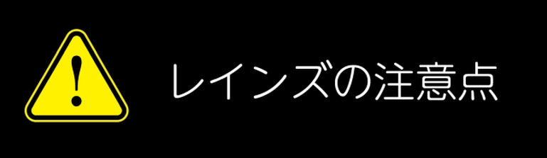 レインズの注意点